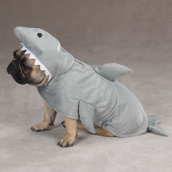 land-shark-costume-for-dogs-zack-zoey-1.jpg